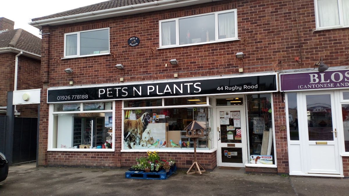 Pets N Plants