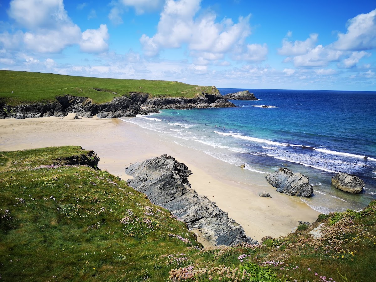 Polly Joke