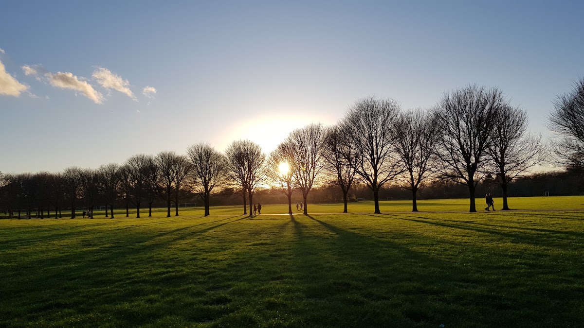 Pontcanna Fields