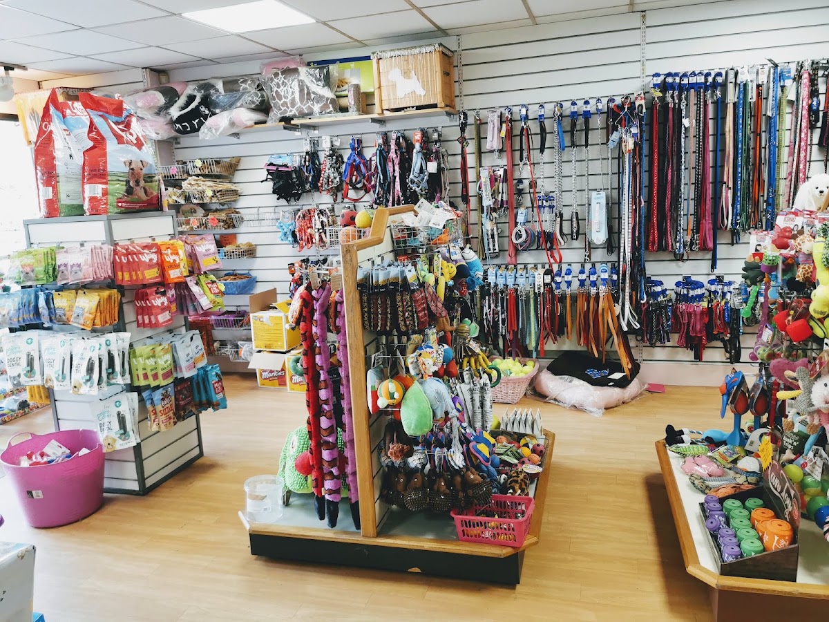 Poochie Parlour