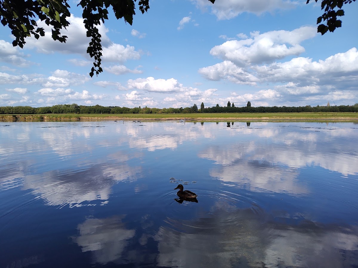 Port Meadow