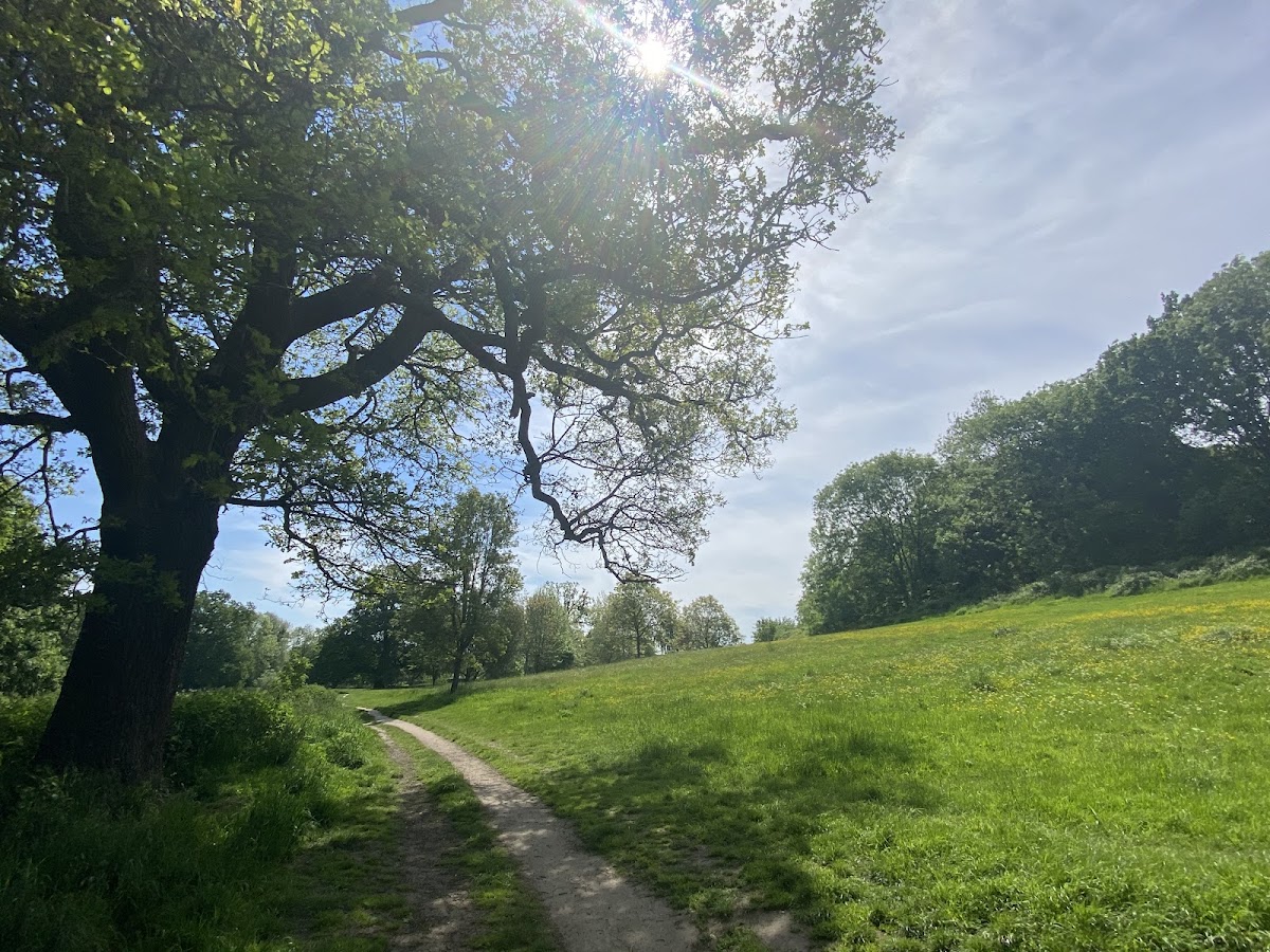 Priory Park