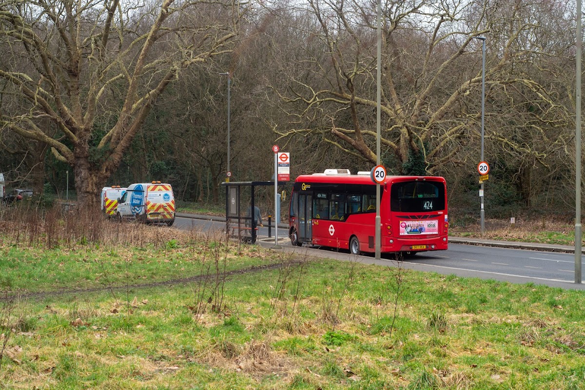 Putney Heath