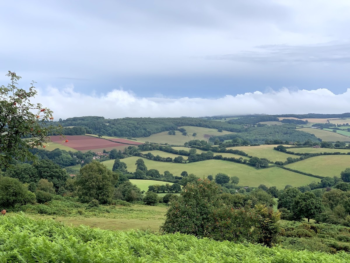 Quantock Hills National Landscape