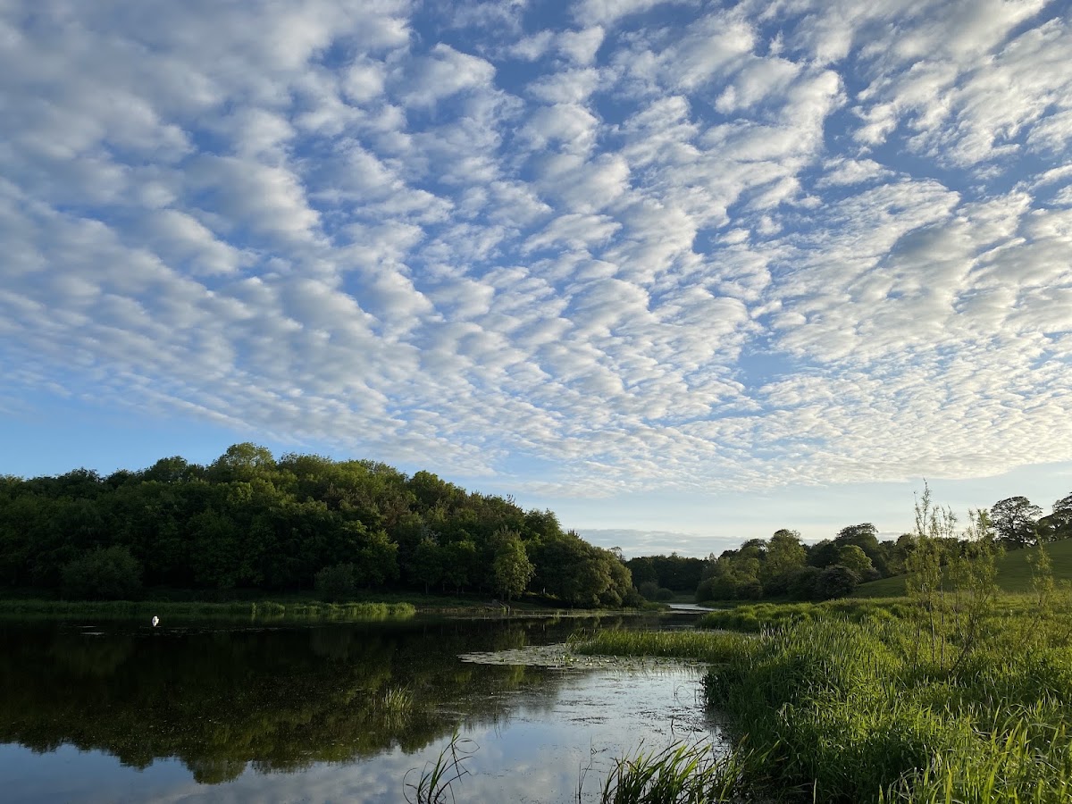 Quoile River Walk