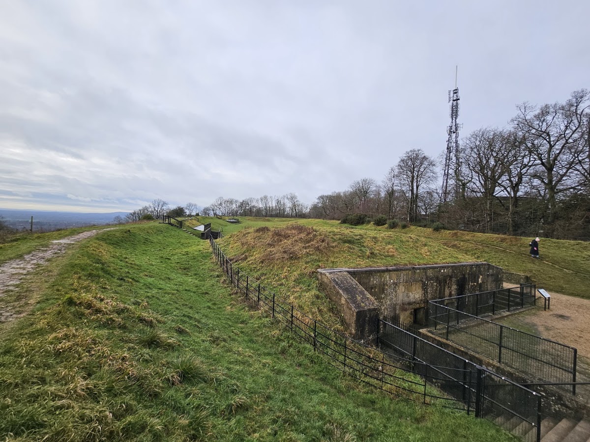 Reigate Fort