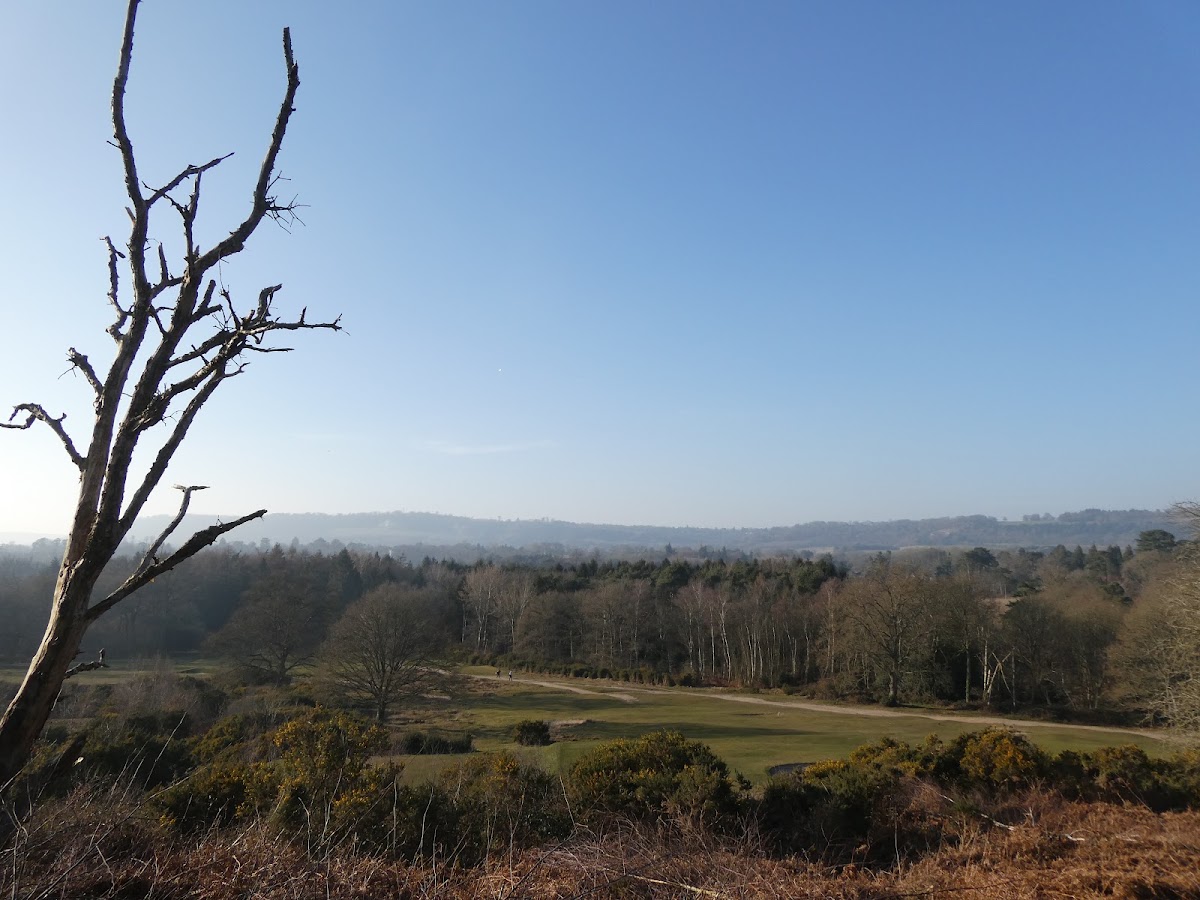 Reigate Heath