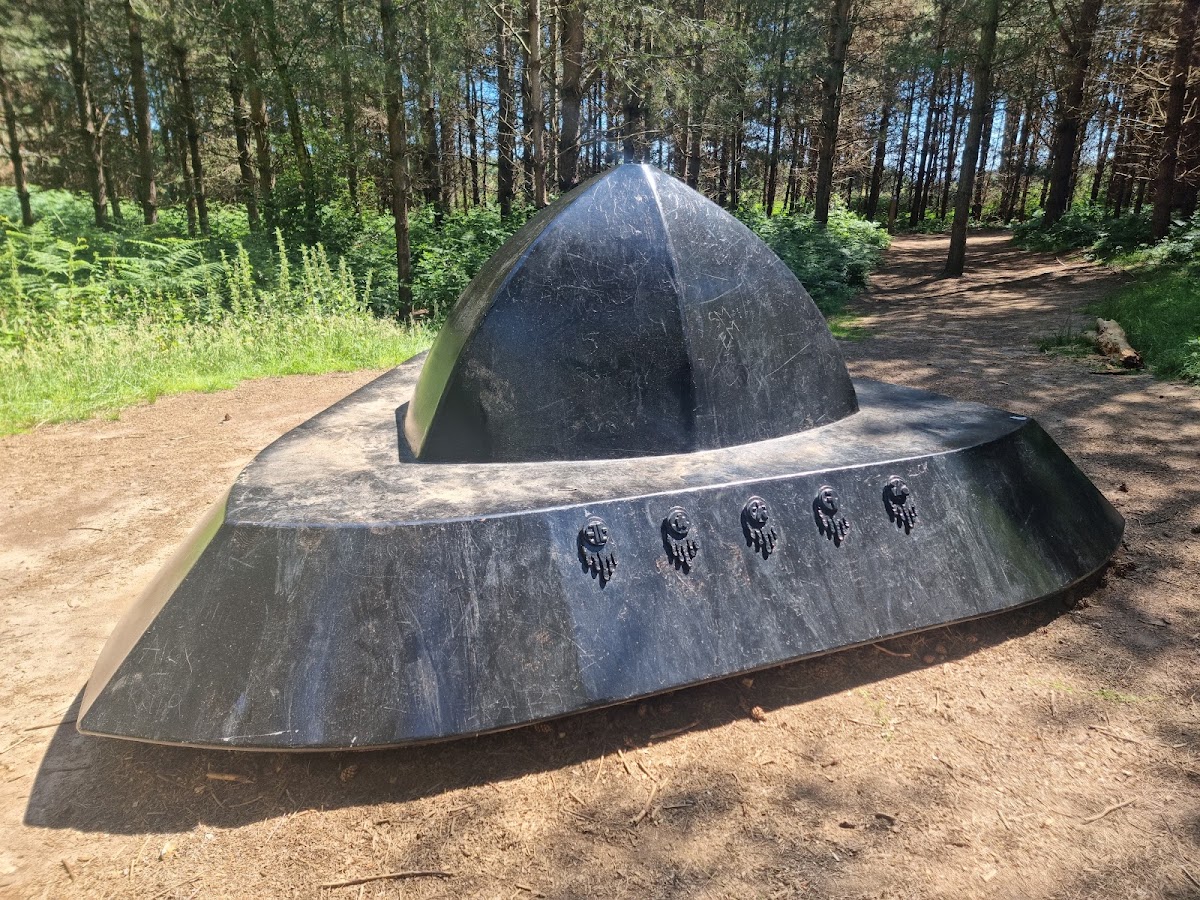 Rendlesham Forest