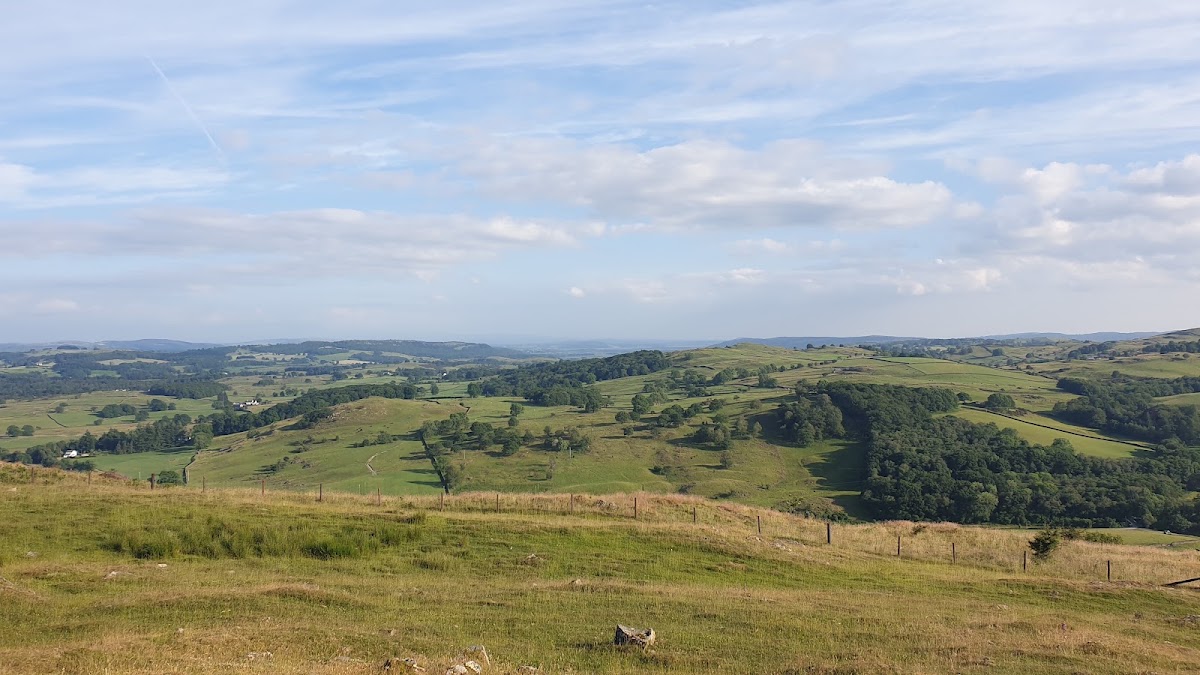 Reston Scar