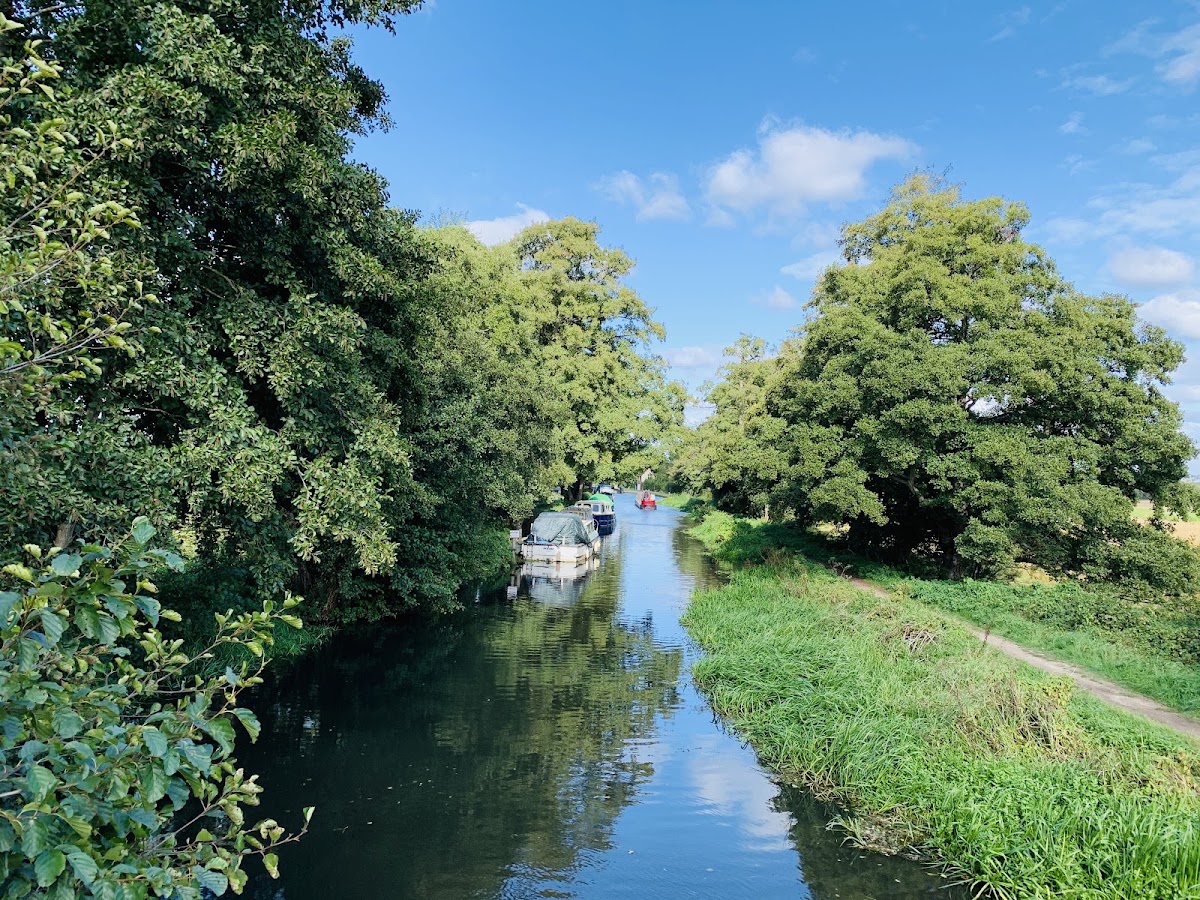 River Wey Navigation Walk