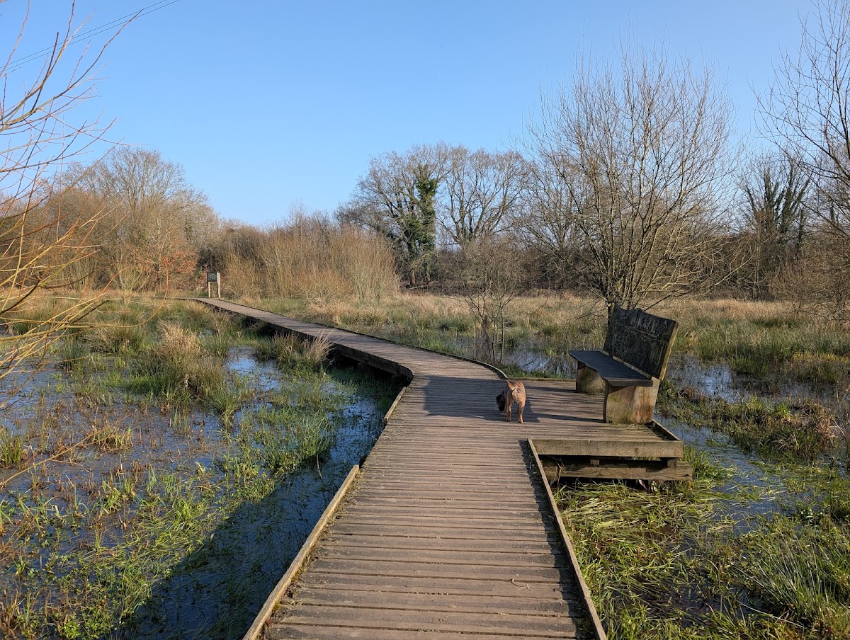 Riverside Nature Reserve