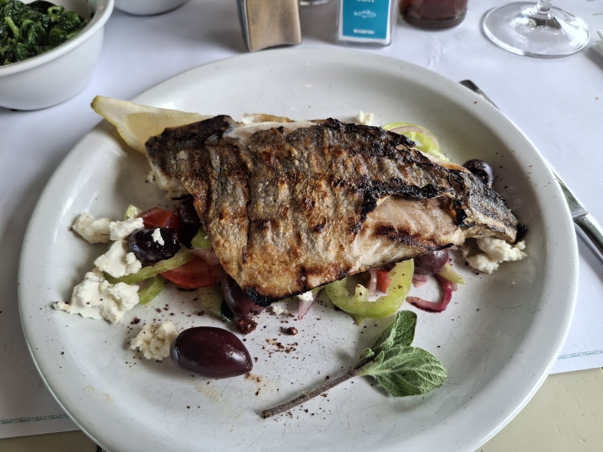 Rockfish