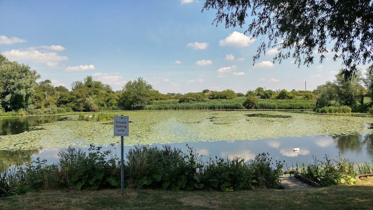 Roswell Pits Nature Reserve