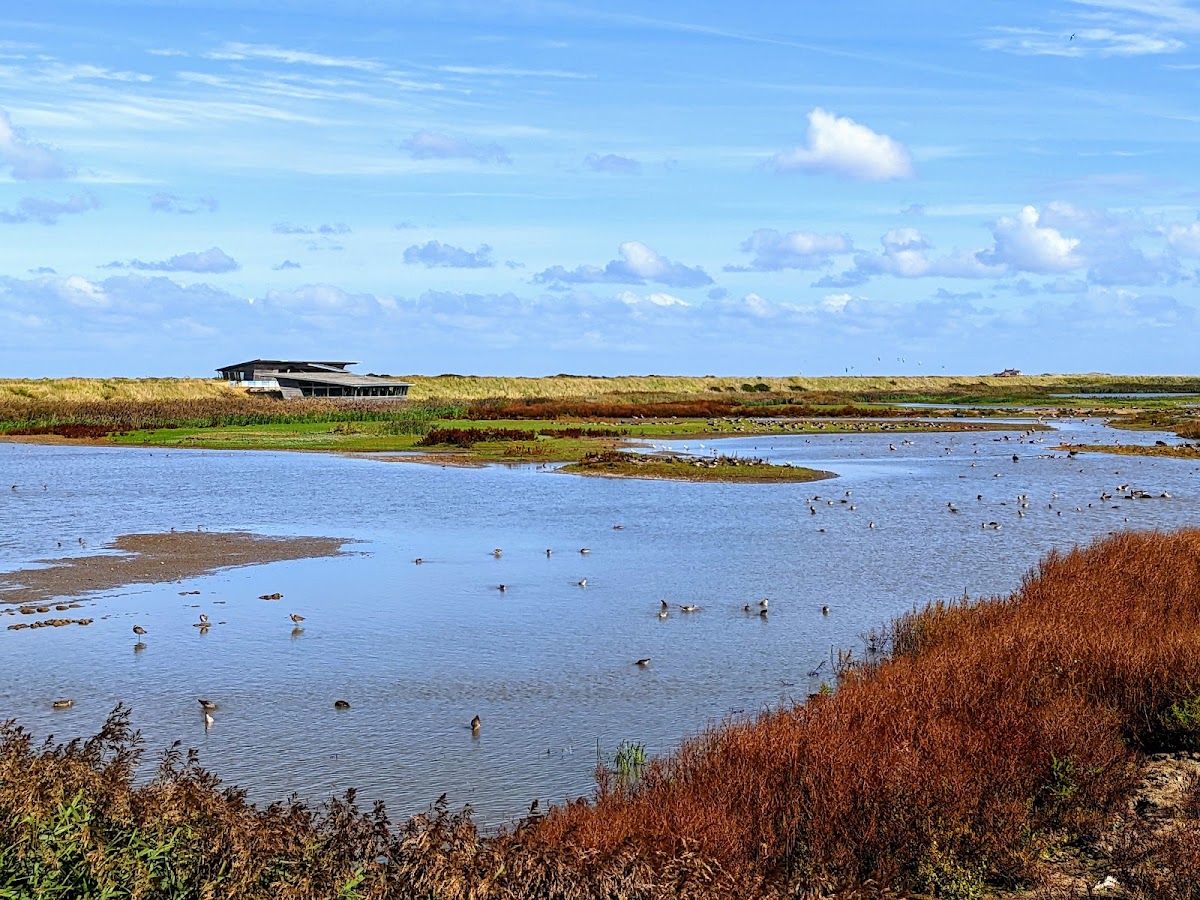 RSPB Titchwell Marsh