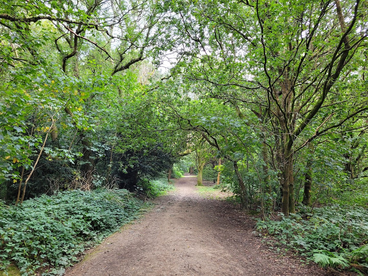 Rusthall Common