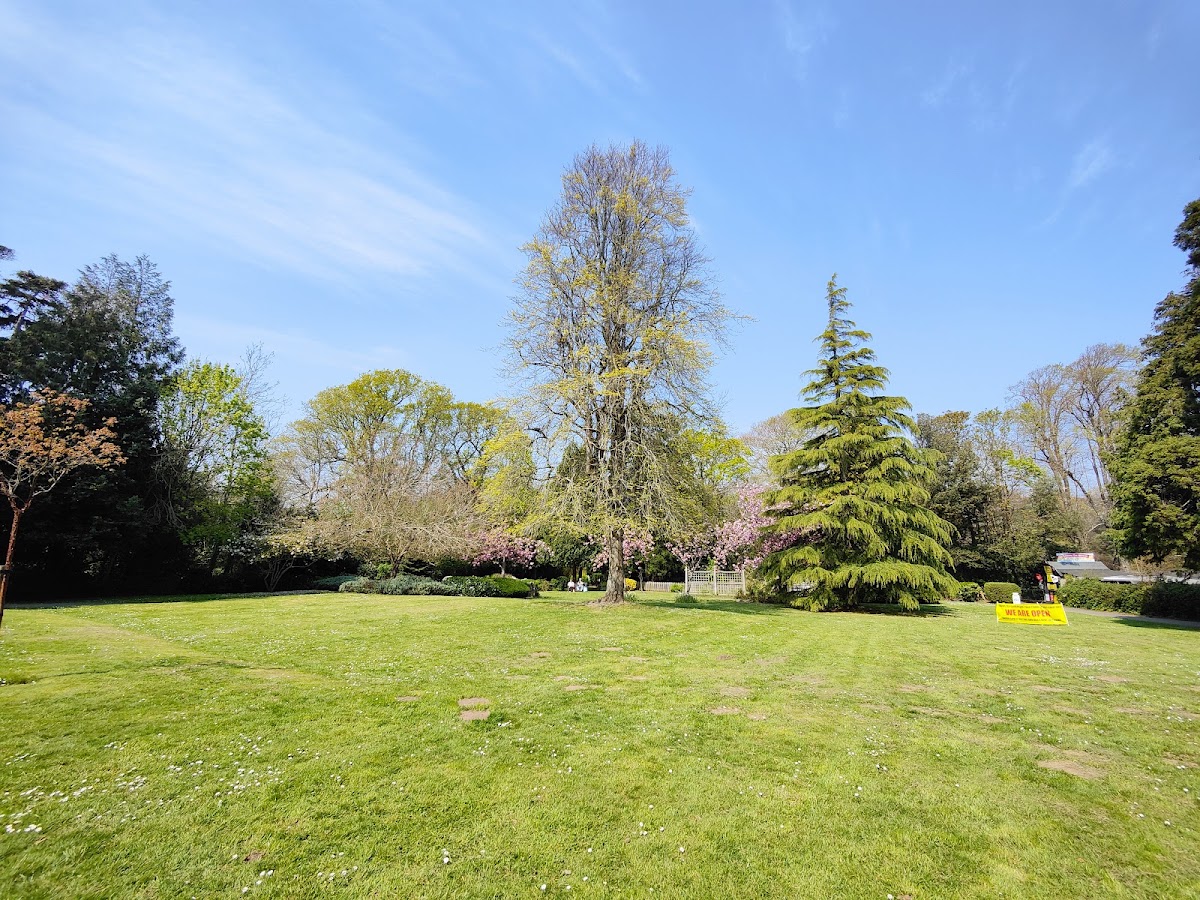 Rylstone Gardens