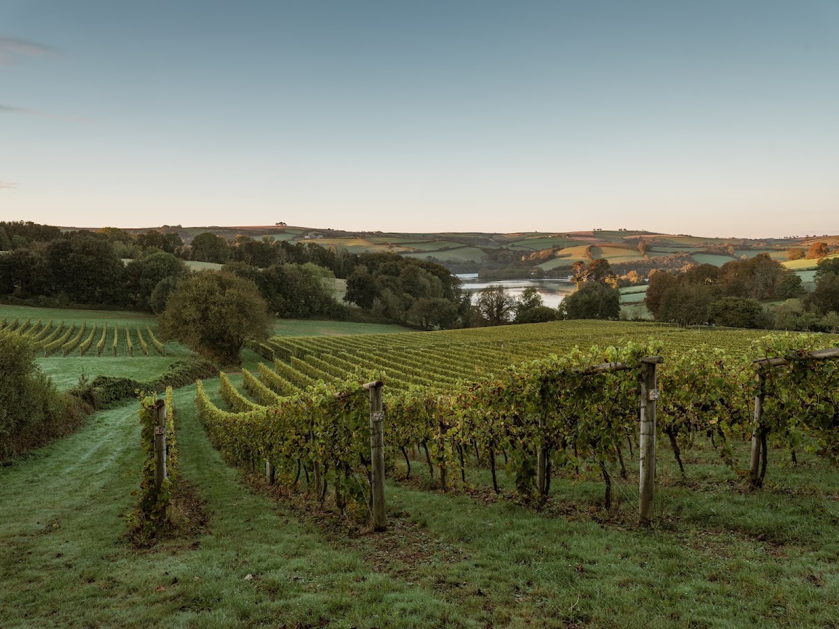 Sandridge Barton (Sharpham Wines)