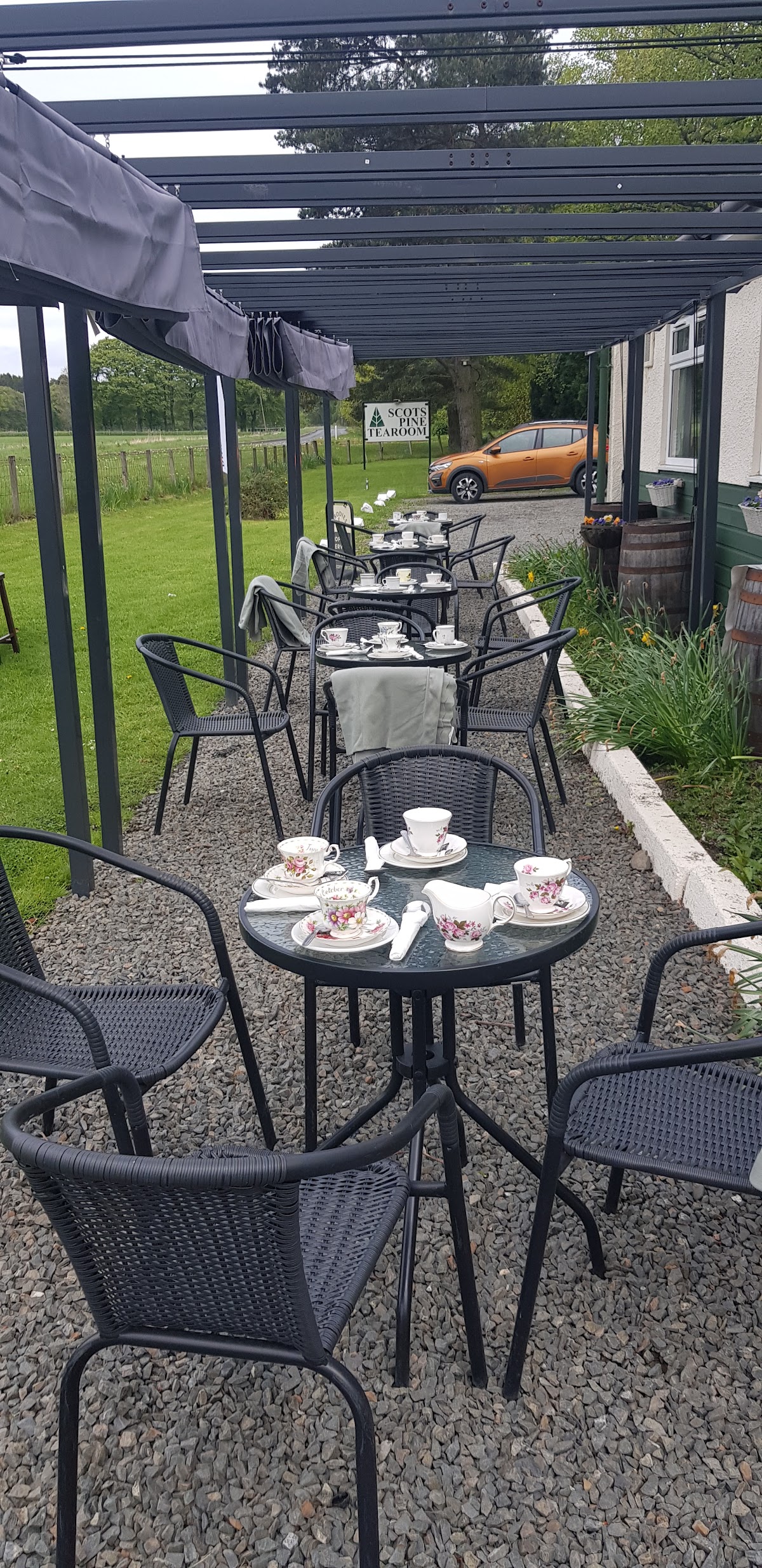 Scots Pine Tea Room