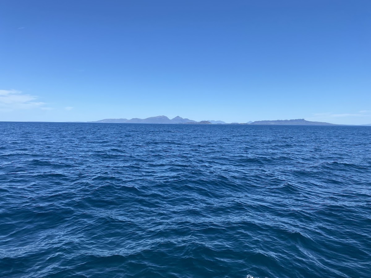 Sea Life Mull