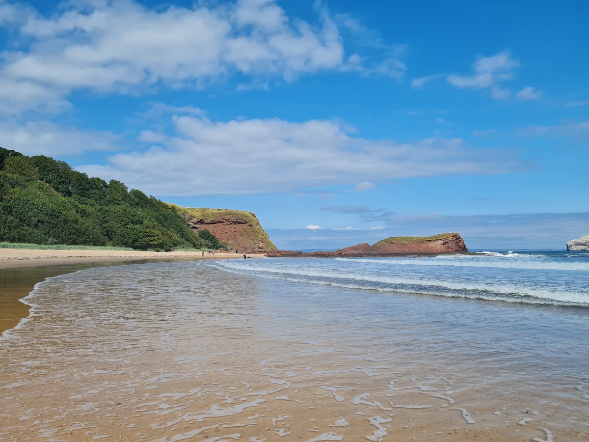 Seacliff Beach
