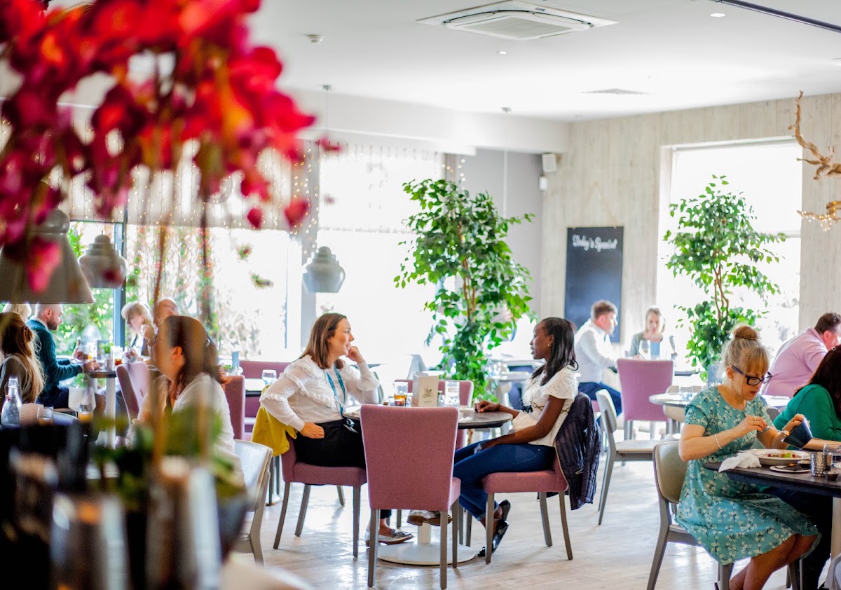 Seven Restaurant and Cafe Bar