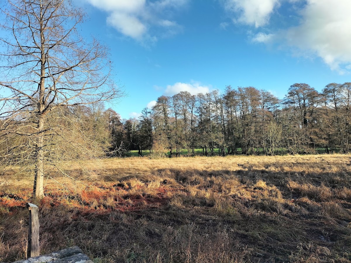 Shalford Park