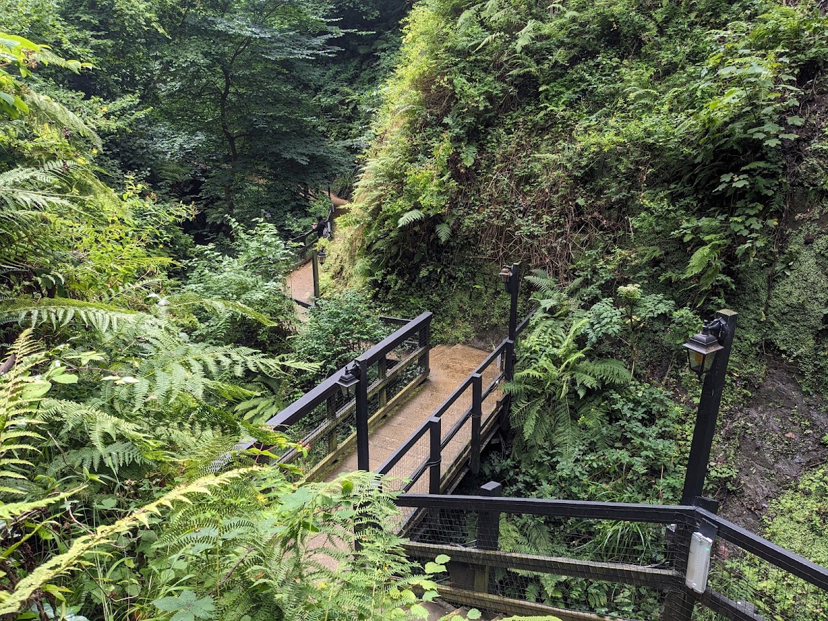 Shanklin Chine