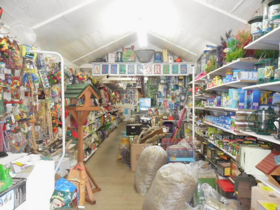 Shanklin Pet Stores