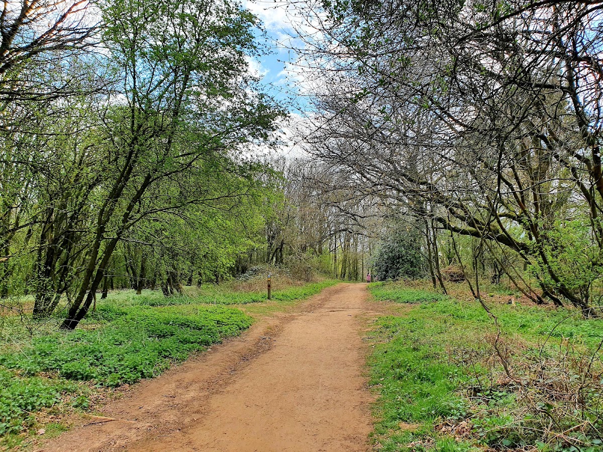 Shotover Country Park