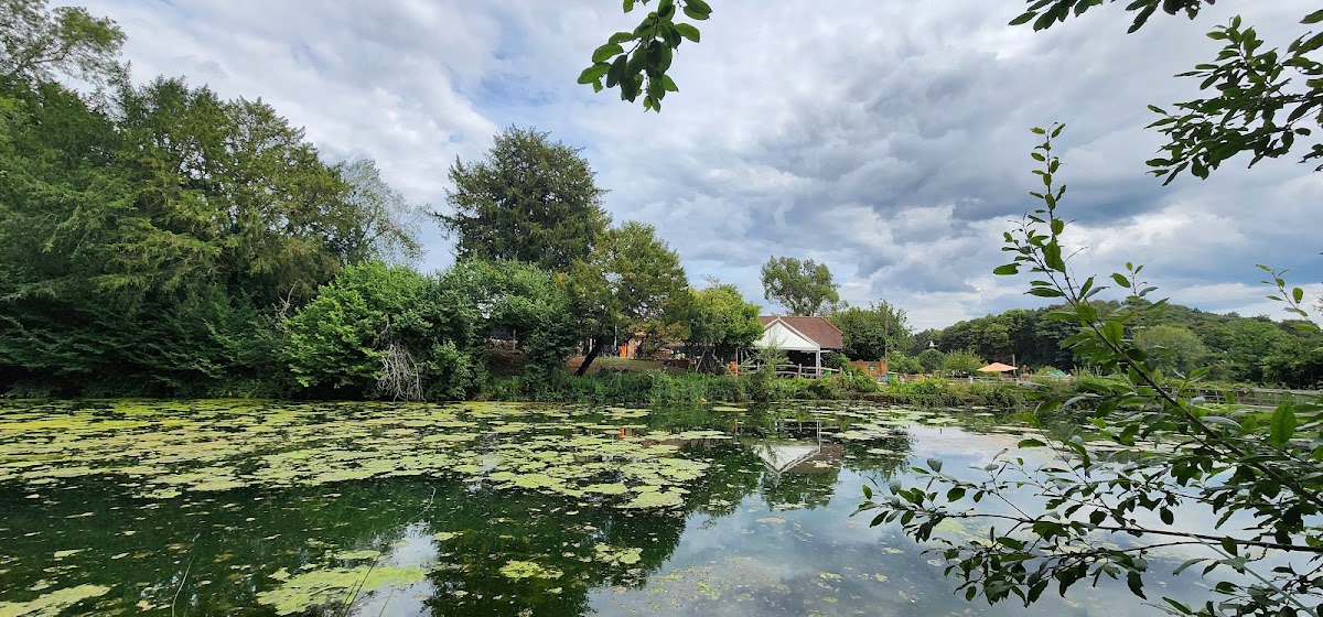 Silent Pool Distillery