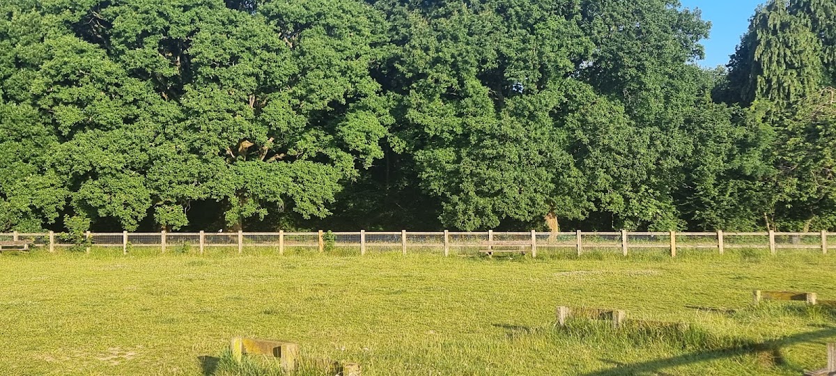 Slade's Farm Doggy Play Patch