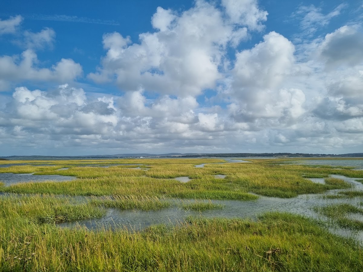 Solent Way