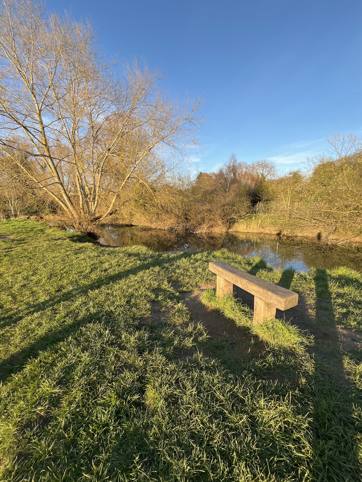 Stamford Meadows