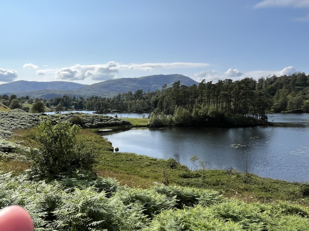 Tarn Hows