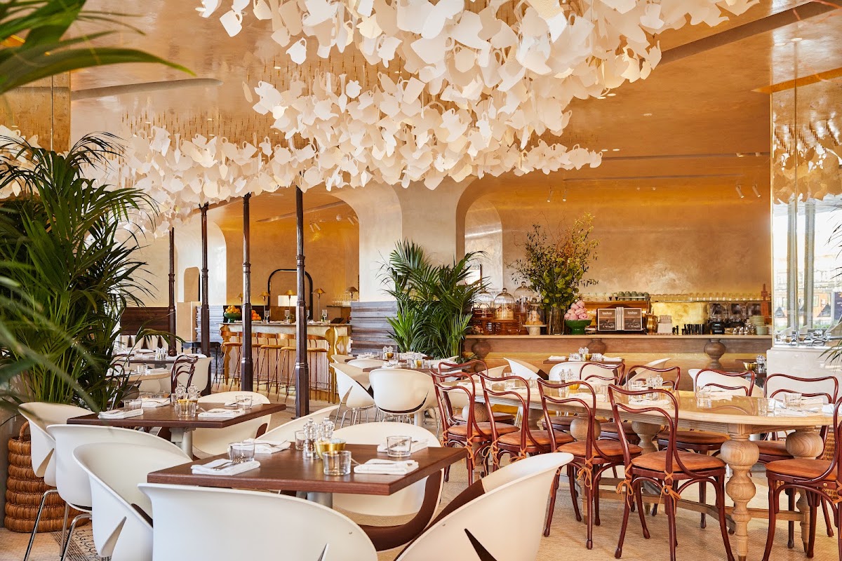 tashas