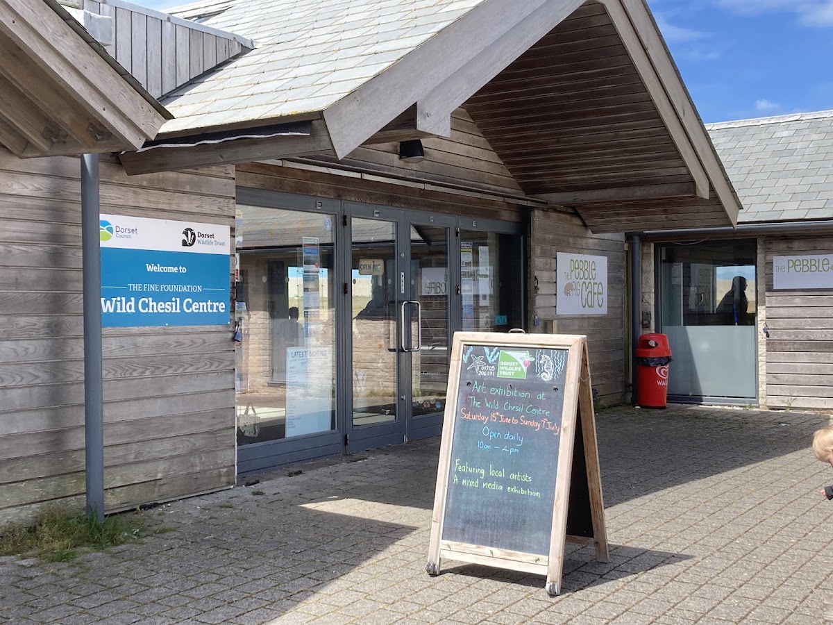Taste Cafe at Chesil Beach