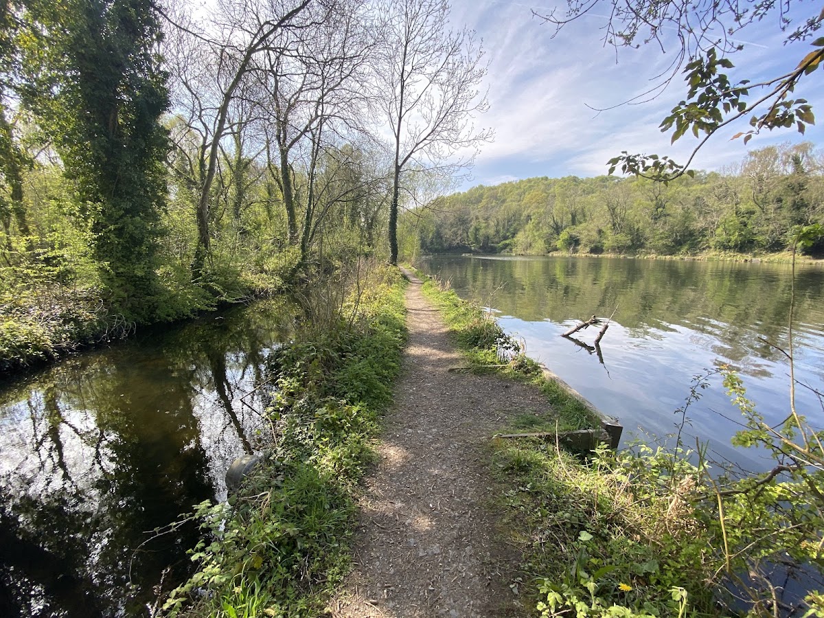 Telford Town Park