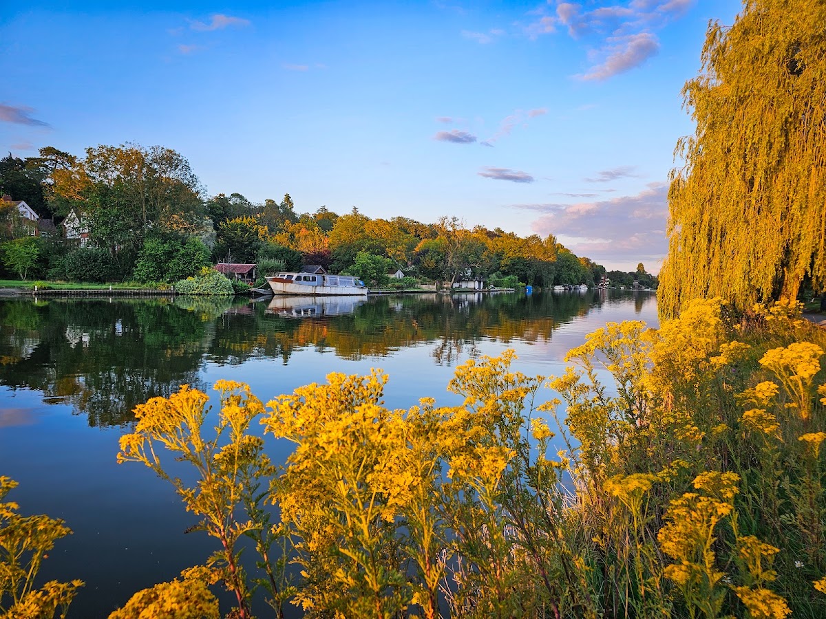Thames Path (Reading)