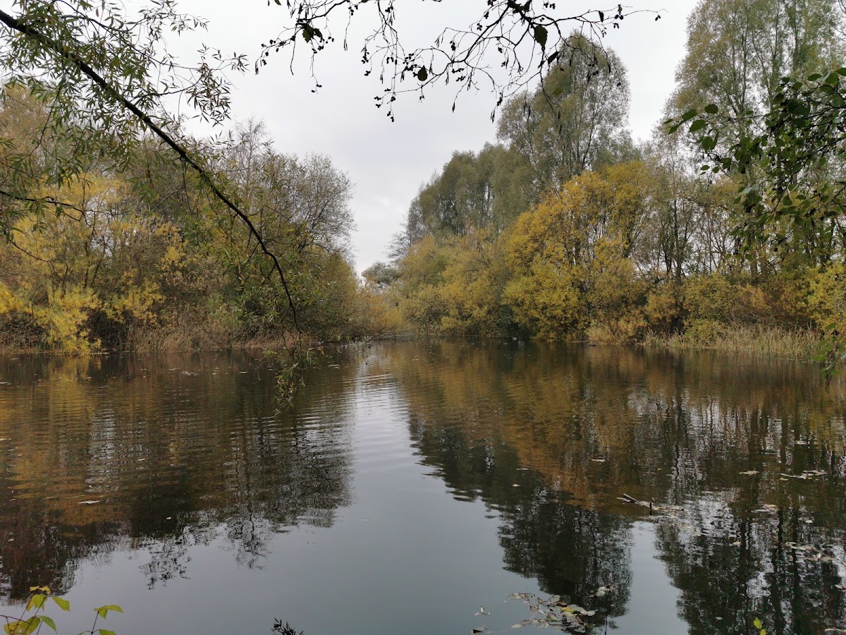 Thames Valley Park
