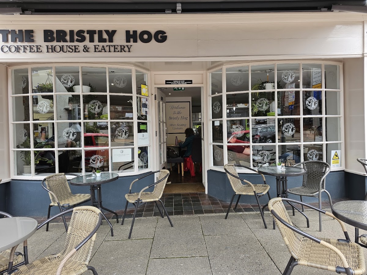 The Bristly Hog Coffee House