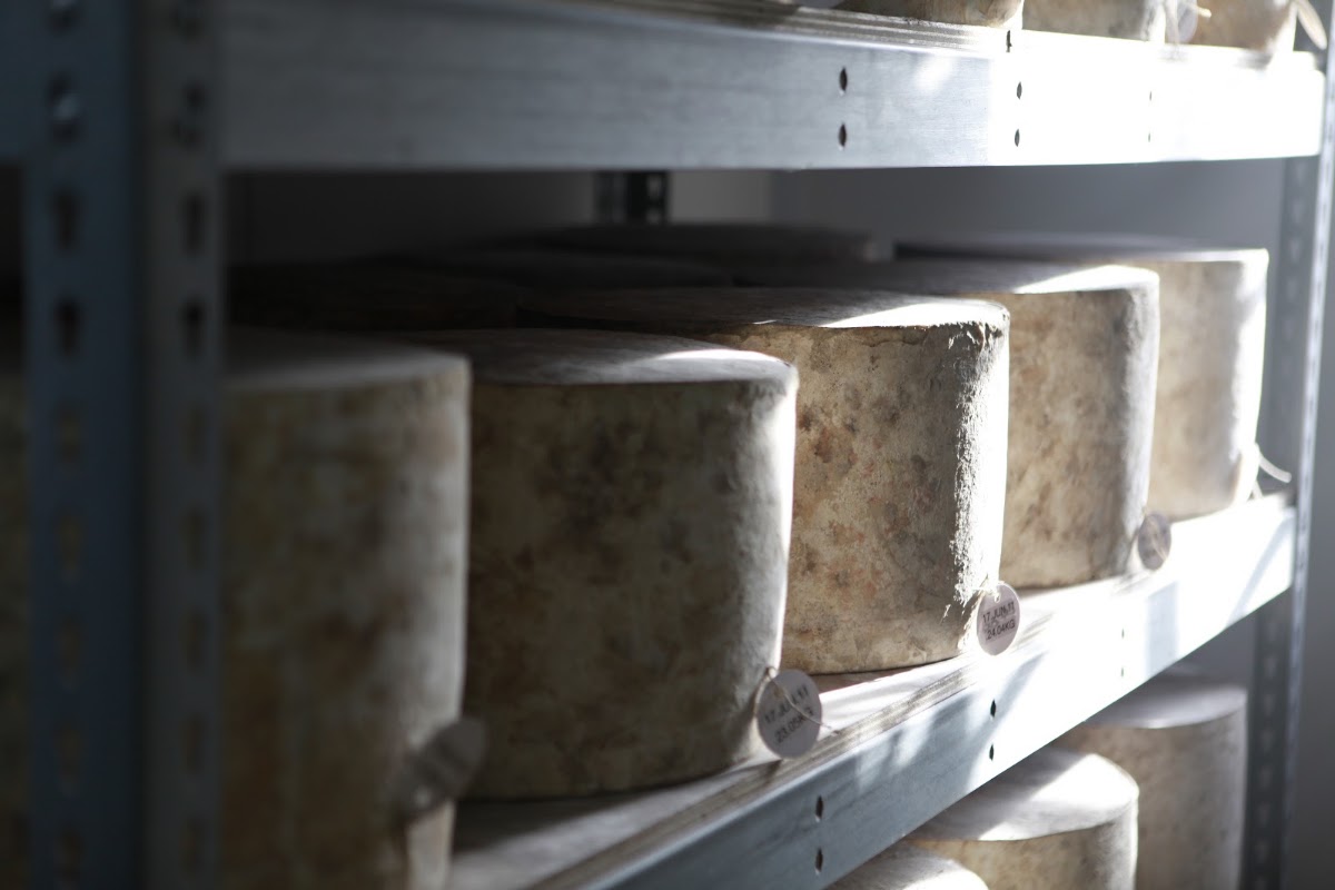 The Cheddar Gorge Cheese Company