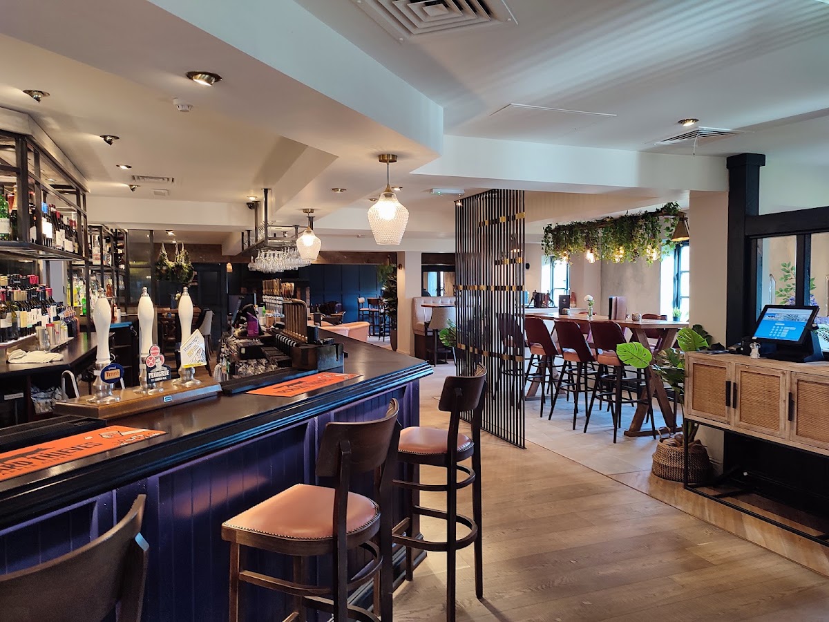 The Curious Cow of Harrogate