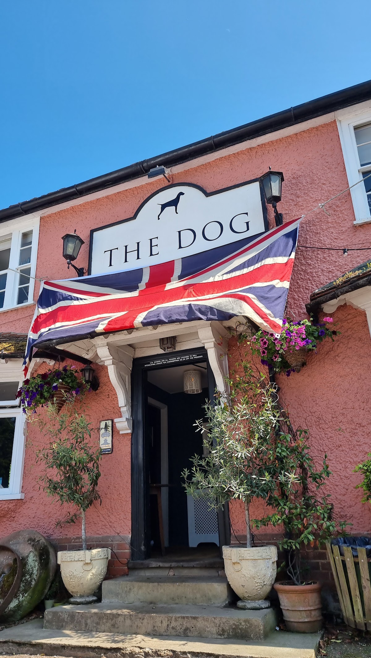 The Dog