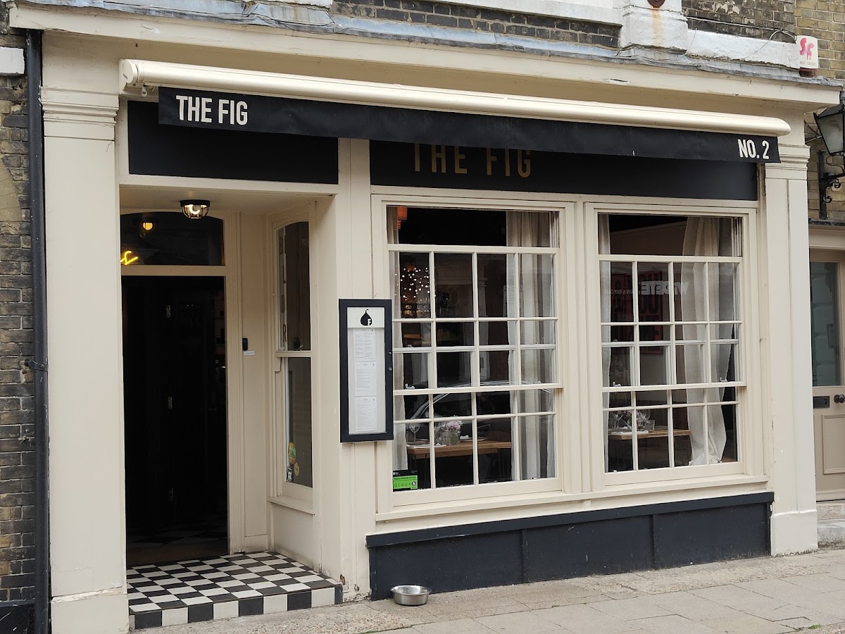The Fig