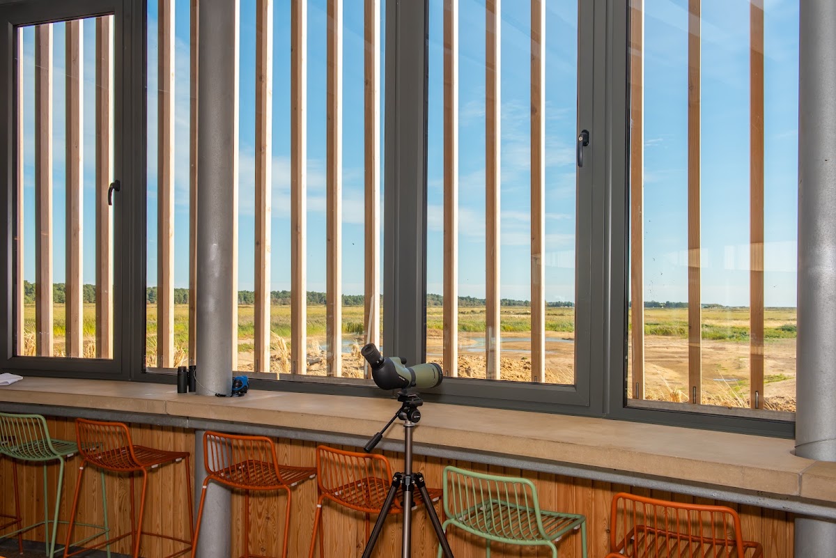 The Lookout Holkham