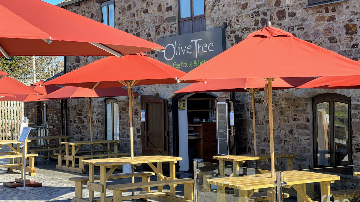 The Olive Tree