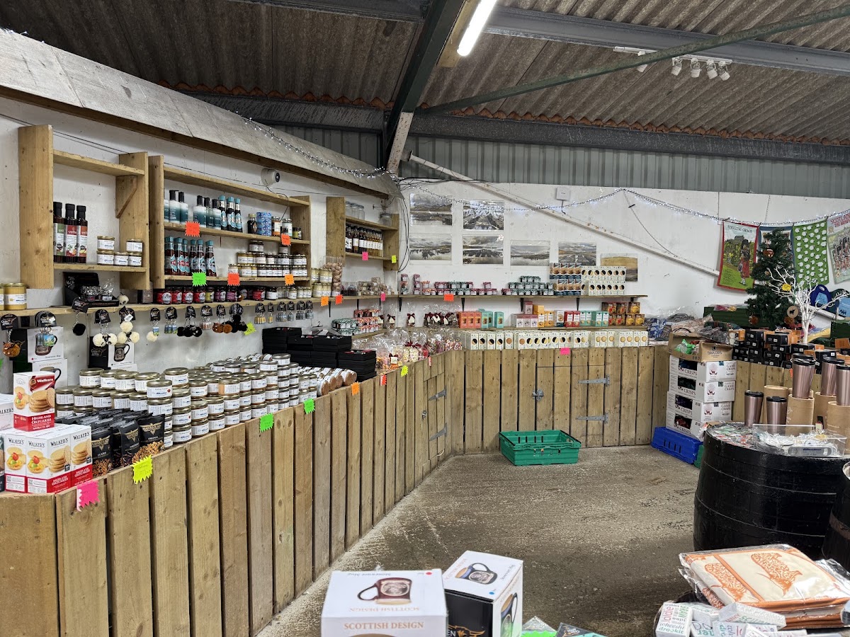 The Oyster Shed