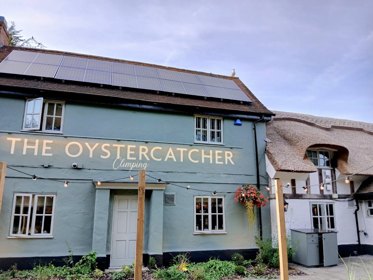 The Oystercatcher