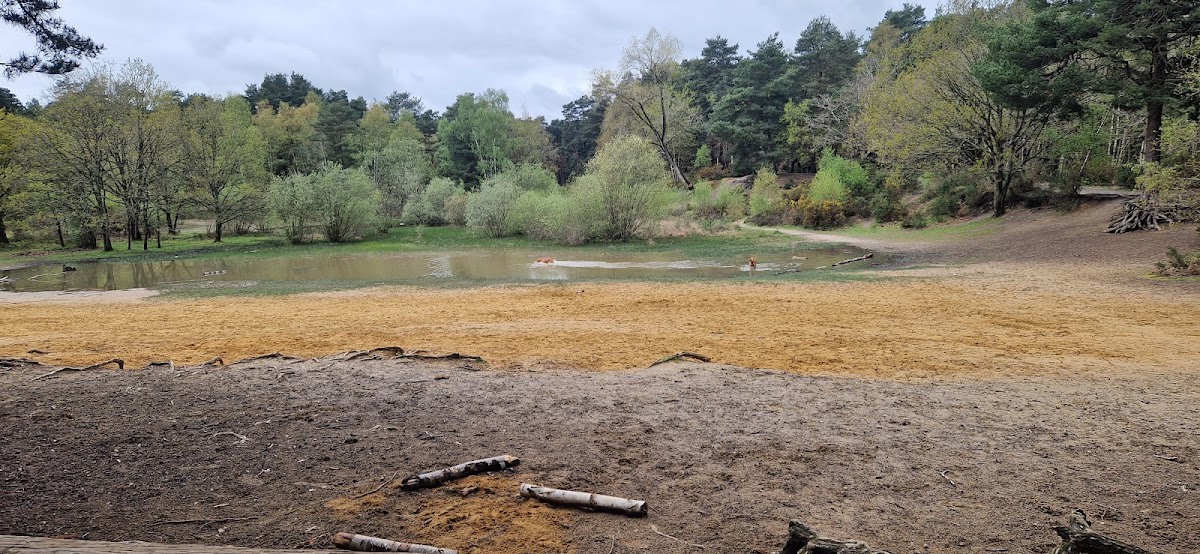 The Sandpit