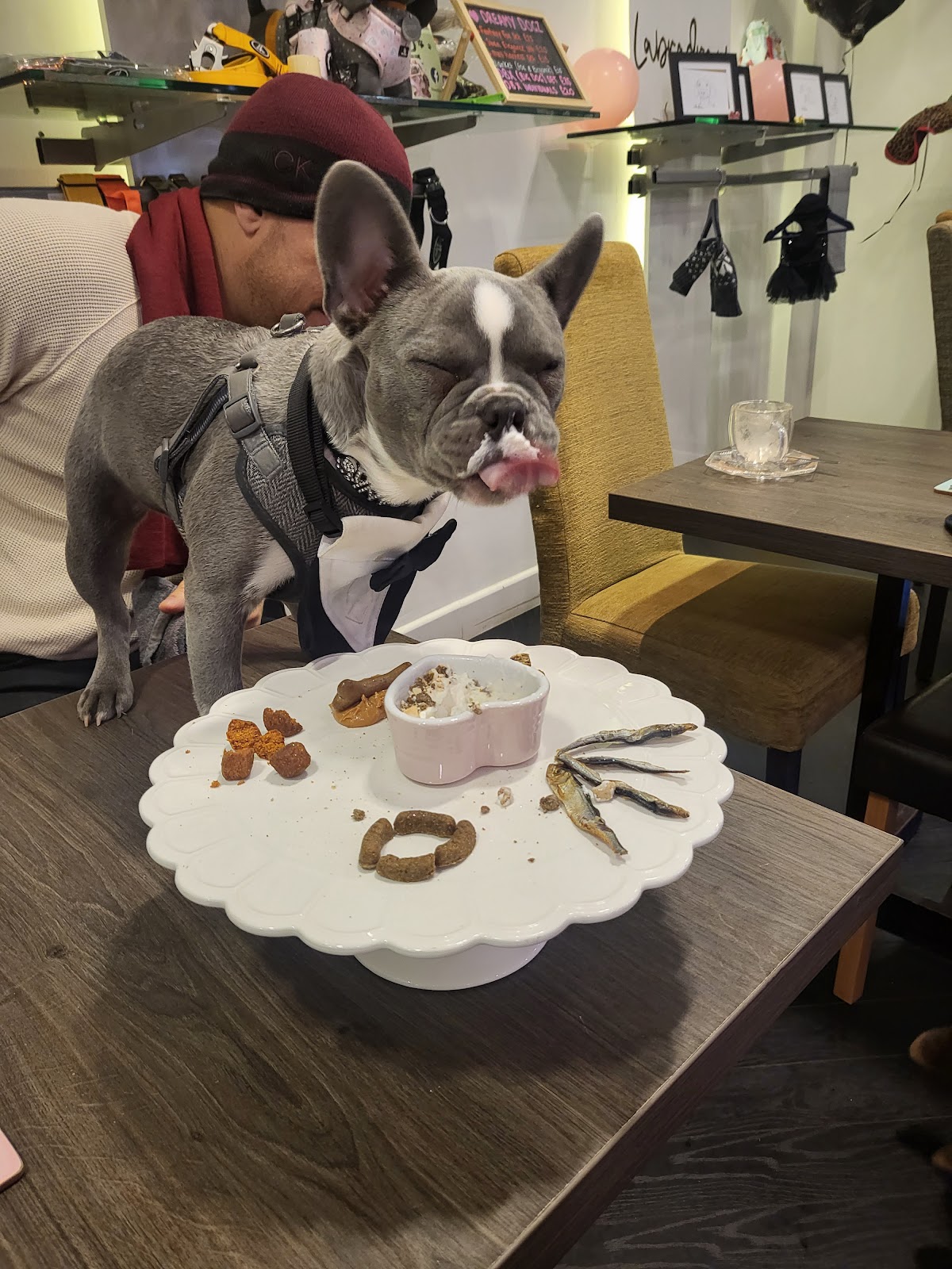 The Snooty Pooch CIC